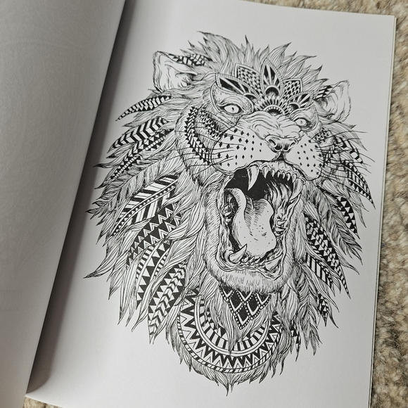 Animals and More Coloring Book - Picture 3 of 7